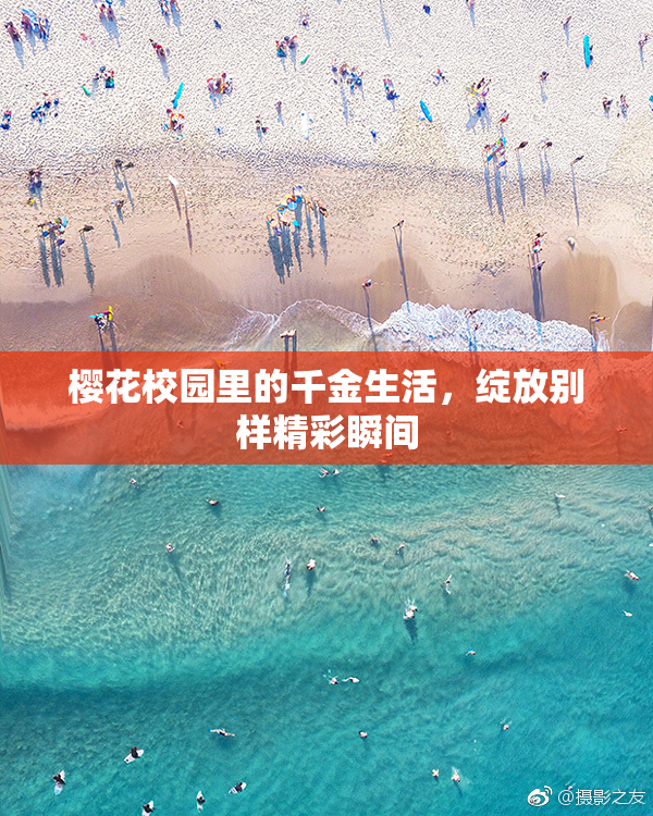 樱花校园里的千金生活，绽放别样精彩瞬间