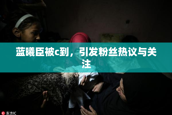 蓝曦臣被c到，引发粉丝热议与关注