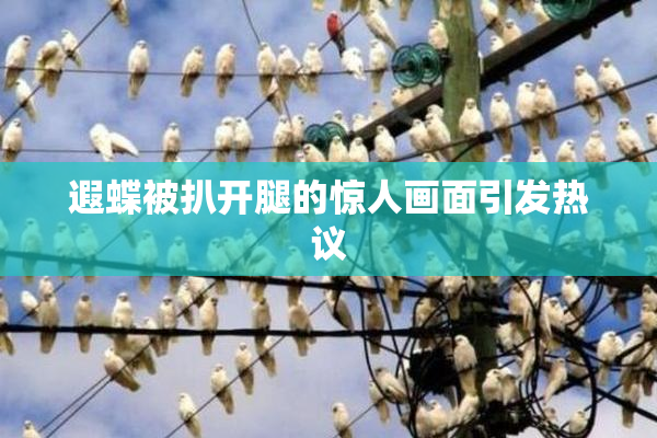 遐蝶被扒开腿的惊人画面引发热议