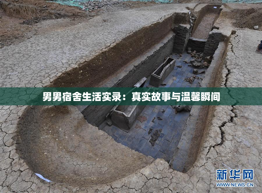 男男宿舍生活实录：真实故事与温馨瞬间