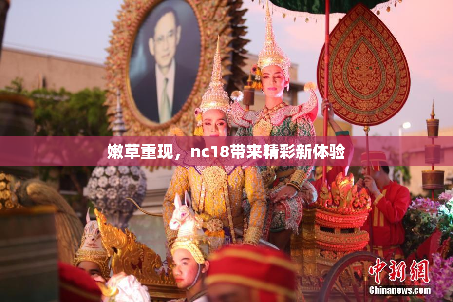 嫩草重现，nc18带来精彩新体验