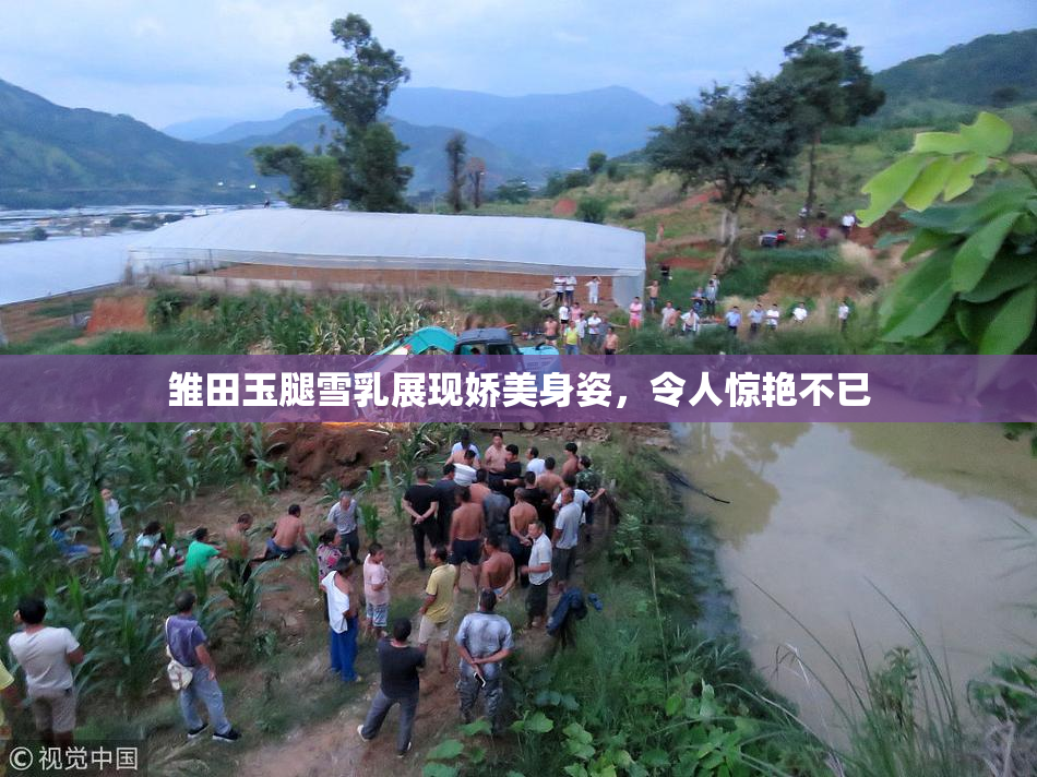 雏田玉腿雪乳展现娇美身姿，令人惊艳不已