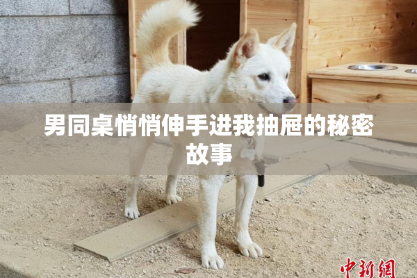 男同桌悄悄伸手进我抽屉的秘密故事
