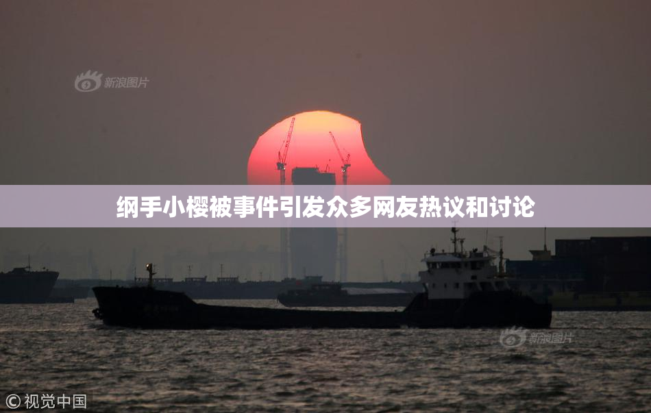 纲手小樱被事件引发众多网友热议和讨论