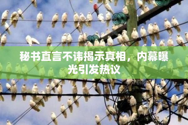 秘书直言不讳揭示真相，内幕曝光引发热议