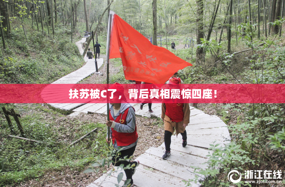 扶苏被C了，背后真相震惊四座！