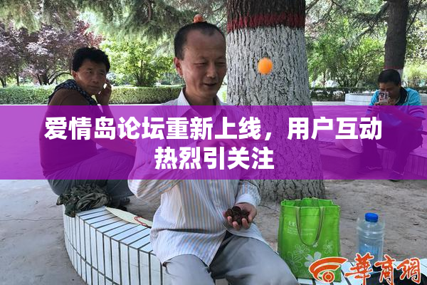 爱情岛论坛重新上线，用户互动热烈引关注