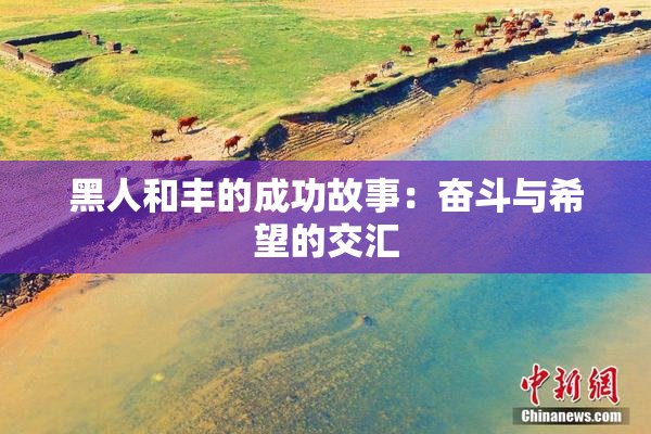 黑人和丰的成功故事：奋斗与希望的交汇