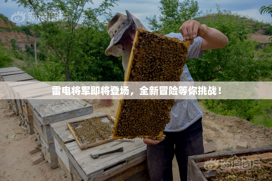 雷电将军即将登场，全新冒险等你挑战！