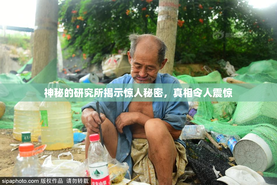 神秘的研究所揭示惊人秘密，真相令人震惊