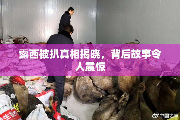 露西被扒真相揭晓，背后故事令人震惊