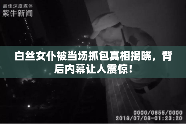 白丝女仆被当场抓包真相揭晓，背后内幕让人震惊！