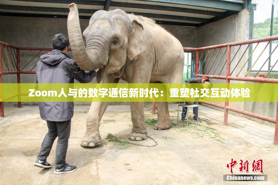 Zoom人与的数字通信新时代：重塑社交互动体验