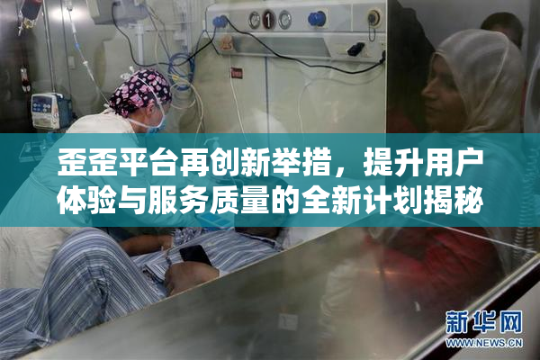 歪歪平台再创新举措，提升用户体验与服务质量的全新计划揭秘