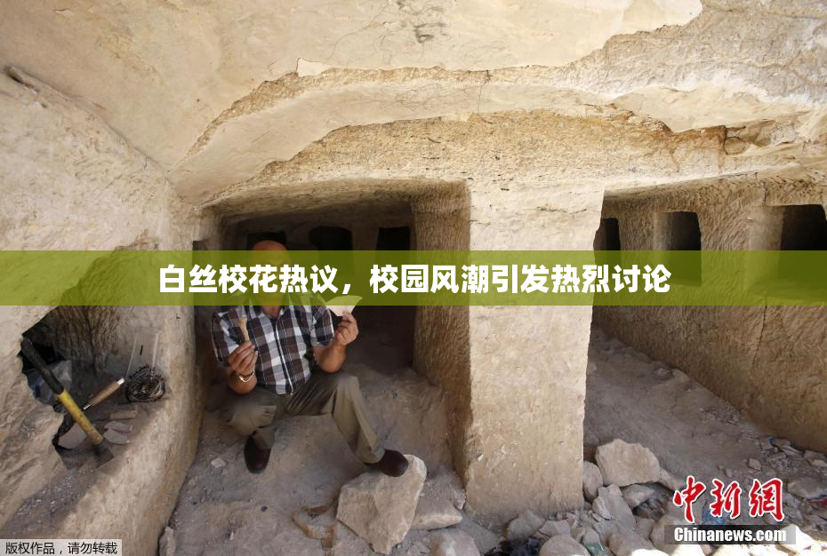 白丝校花热议，校园风潮引发热烈讨论