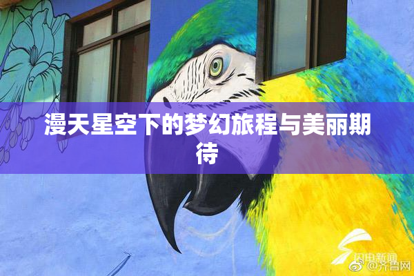 漫天星空下的梦幻旅程与美丽期待