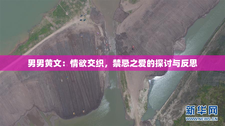 男男黄文：情欲交织，禁忌之爱的探讨与反思