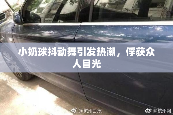 小奶球抖动舞引发热潮，俘获众人目光