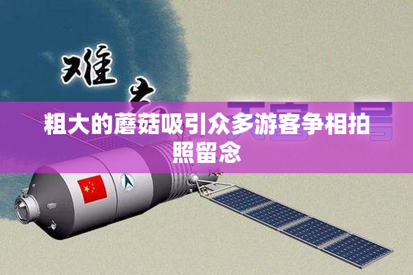粗大的蘑菇吸引众多游客争相拍照留念