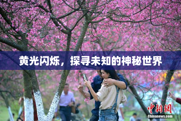 黄光闪烁，探寻未知的神秘世界