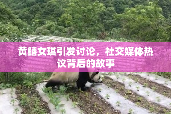 黄鳝女琪引发讨论，社交媒体热议背后的故事