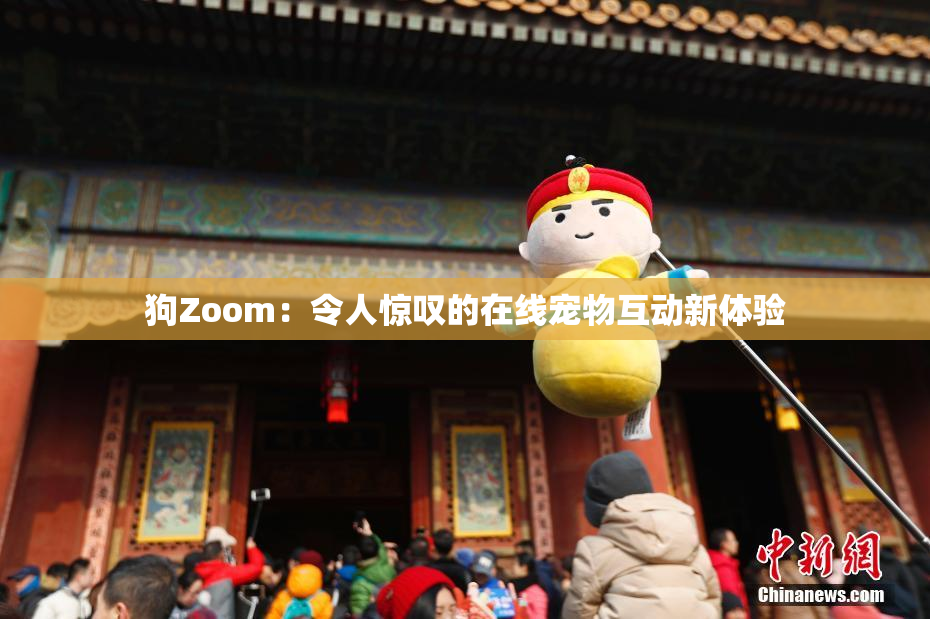 狗Zoom：令人惊叹的在线宠物互动新体验