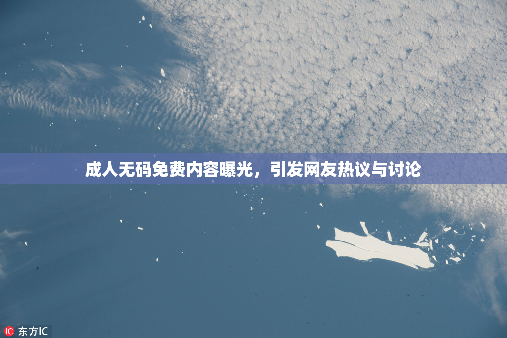 成人无码免费内容曝光，引发网友热议与讨论