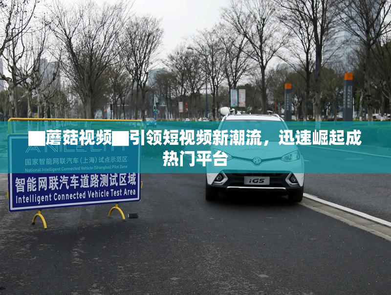 ▇蘑菇视频▇引领短视频新潮流，迅速崛起成热门平台