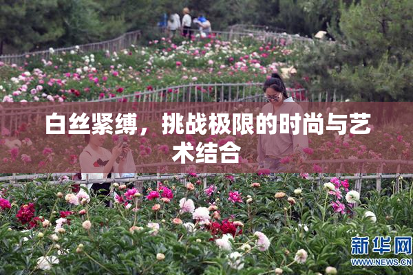 白丝紧缚，挑战极限的时尚与艺术结合