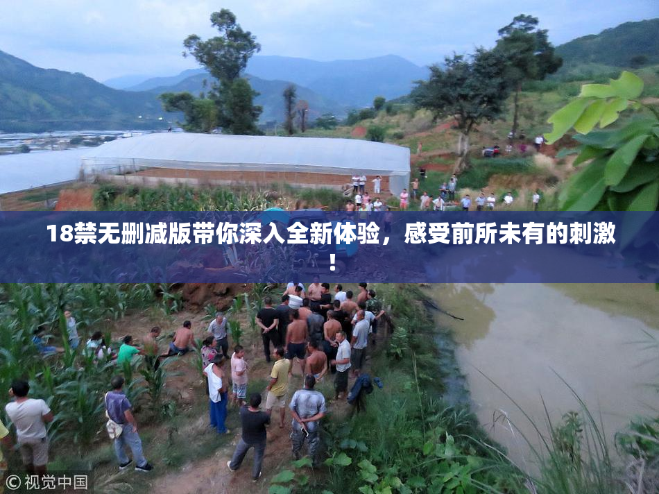 18禁无删减版带你深入全新体验，感受前所未有的刺激！