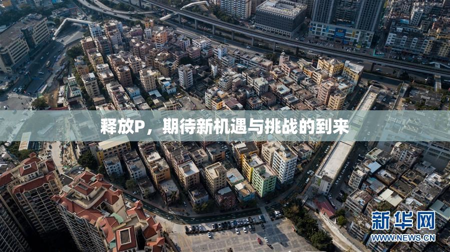 释放P，期待新机遇与挑战的到来