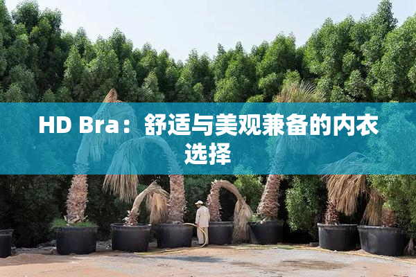 HD Bra：舒适与美观兼备的内衣选择