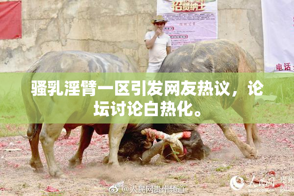骚乳淫臂一区引发网友热议，论坛讨论白热化。