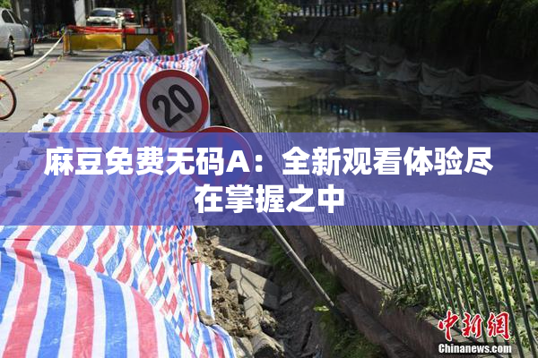 麻豆免费无码A：全新观看体验尽在掌握之中