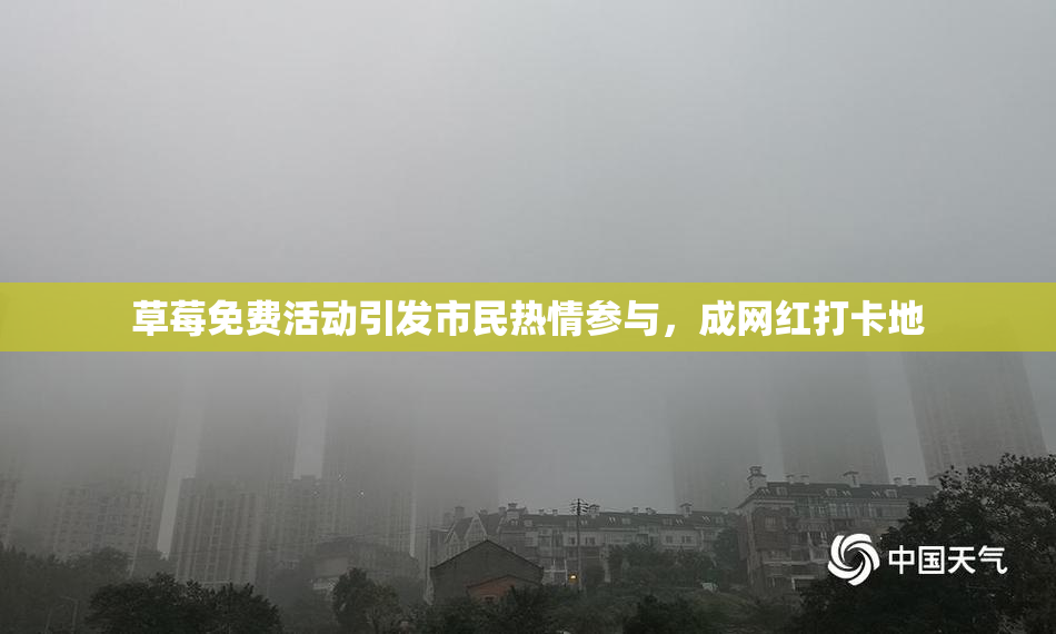 草莓免费活动引发市民热情参与，成网红打卡地