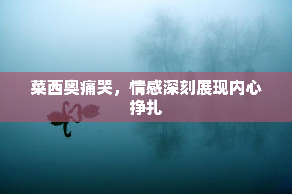 菜西奥痛哭，情感深刻展现内心挣扎