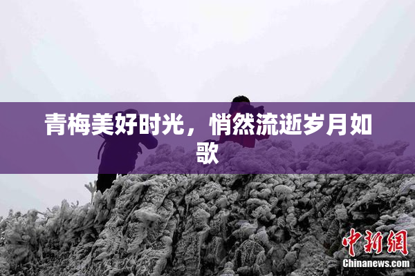 青梅美好时光，悄然流逝岁月如歌