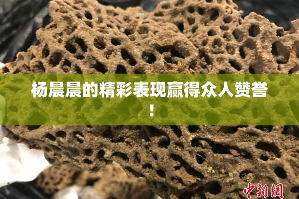 杨晨晨的精彩表现赢得众人赞誉！