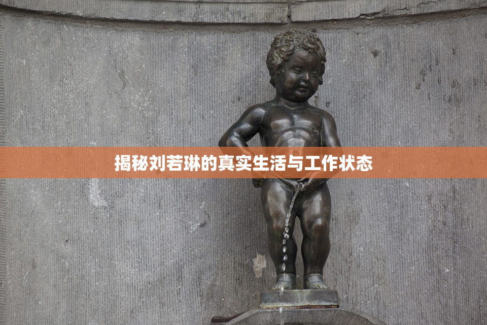 揭秘刘若琳的真实生活与工作状态