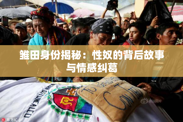 雏田身份揭秘：性奴的背后故事与情感纠葛