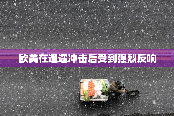 欧美在遭遇冲击后受到强烈反响