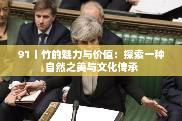 91丨竹的魅力与价值：探索一种自然之美与文化传承