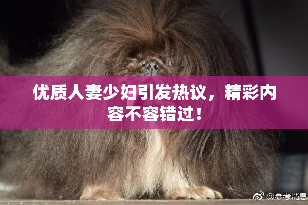优质人妻少妇引发热议，精彩内容不容错过！
