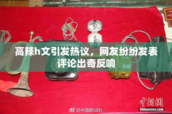 高辣h文引发热议，网友纷纷发表评论出奇反响