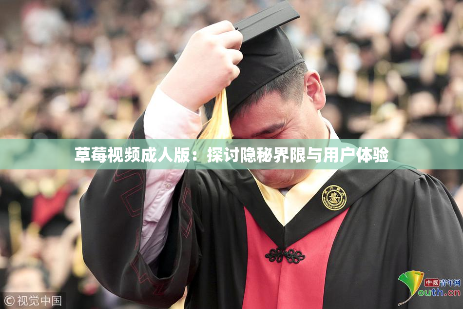 草莓视频成人版：探讨隐秘界限与用户体验