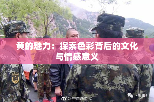 黄的魅力：探索色彩背后的文化与情感意义