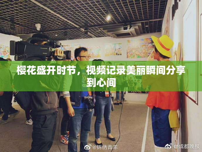樱花盛开时节，视频记录美丽瞬间分享到心间