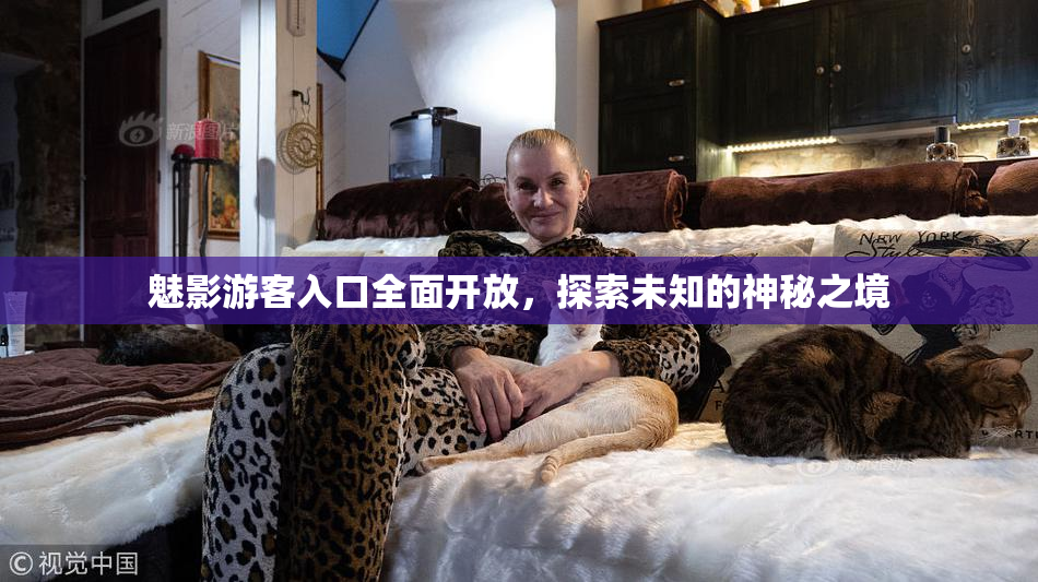 魅影游客入口全面开放，探索未知的神秘之境