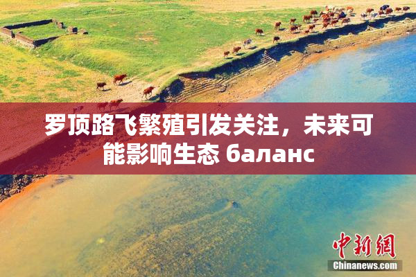 罗顶路飞繁殖引发关注，未来可能影响生态 баланс