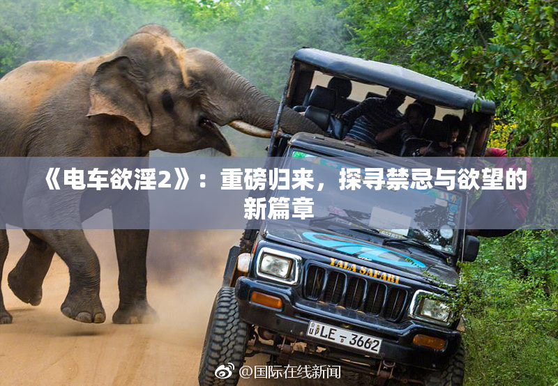 《电车欲淫2》：重磅归来，探寻禁忌与欲望的新篇章